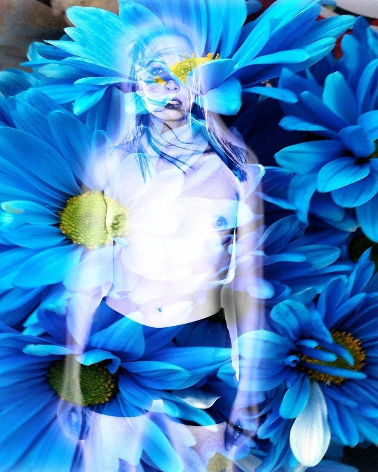 Bare Flowers — Plate 06