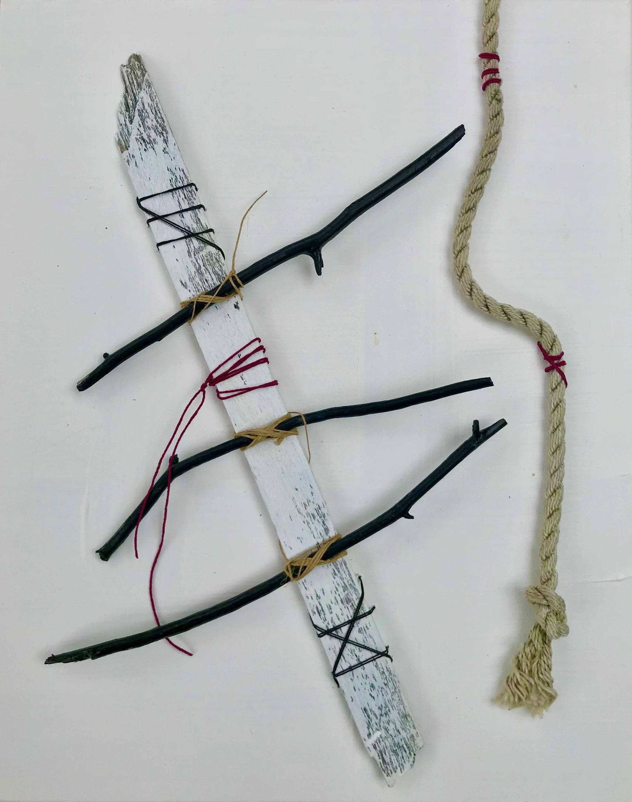 The Covid Series — Plate 08