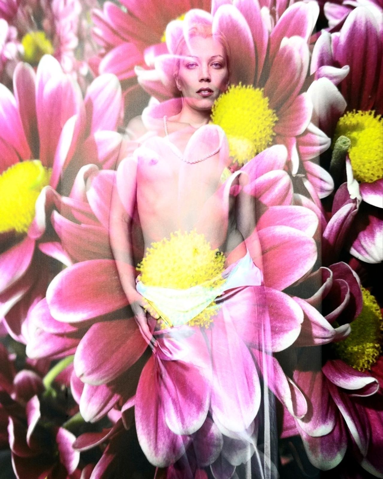 Bare Flowers — Plate 13